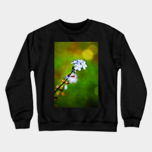 A Forget Me Not flower Crewneck Sweatshirt